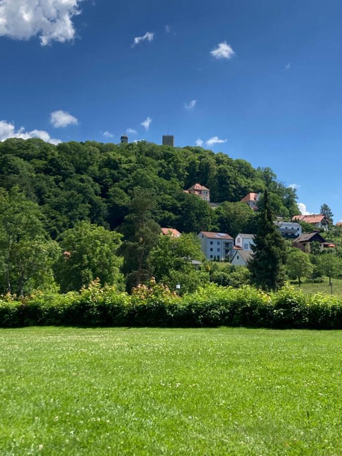 Ferienhaus Brandt Im Ferienpark Falkenstein Falkenstein  エクステリア 写真